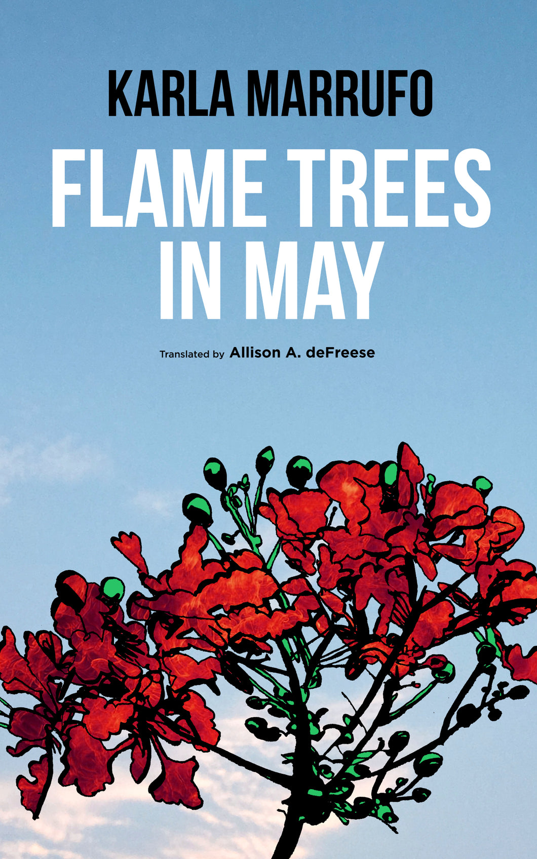 Flame Trees in May